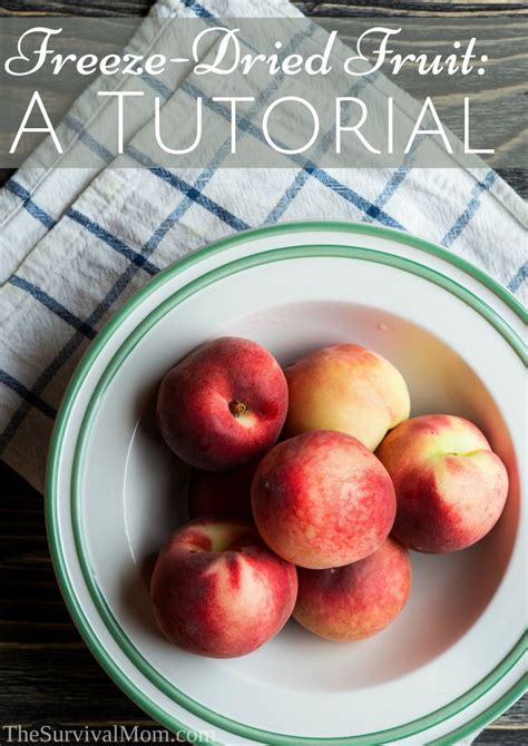 Freeze-Dried Fruit: A Tutorial - The Survival Mom