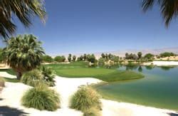 Sand Dabs - Desert Willow in Palm Desert California