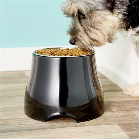 10 Elevated Dog Food Bowls Your Furry Friend Will Love And Why You Need ...