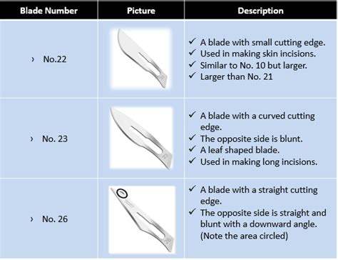 List Of Surgical Scalpel Blades – Types Sizes, Uses –, 53% OFF