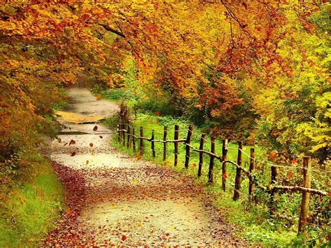 Beautiful Autumn Scenery Wallpapers - Wallpaper Cave