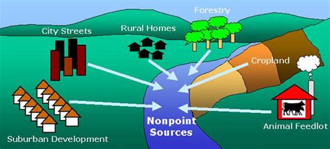 5-8-pollution-non-point-source-pollution-diagram - South Carolina ...