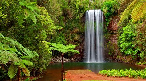 Tropical Waterfall Serenity - 4K Ultra HD Wallpaper