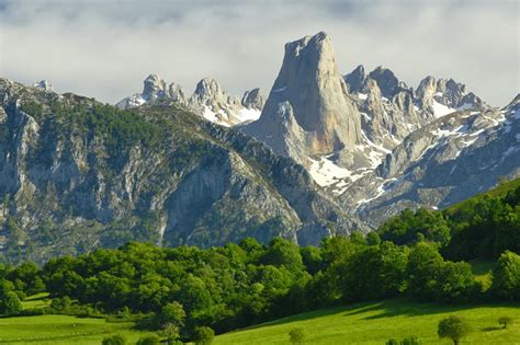 Back to the Wild: Picos de Europa National Park – Spain