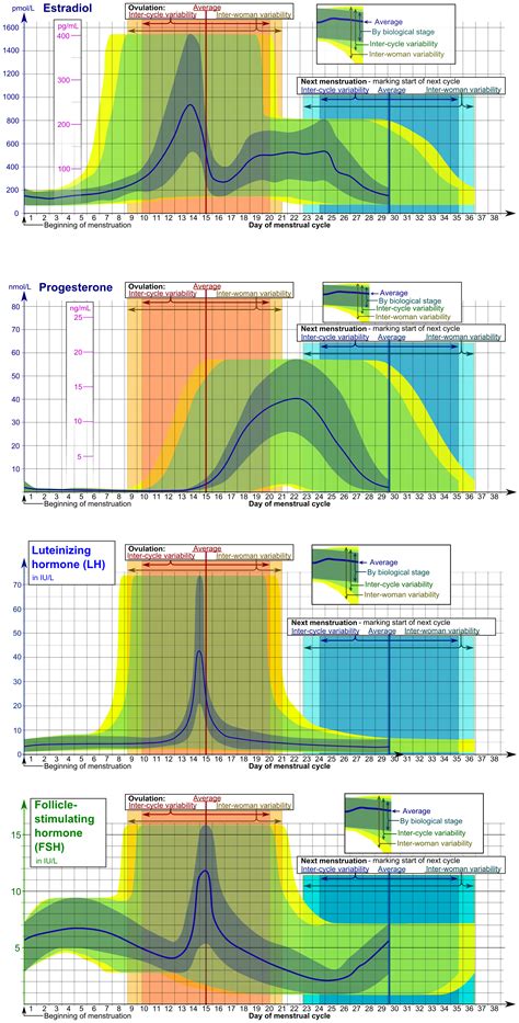 Estrogen Levels In Pregnancy Chart Estrogen Exposure Levels