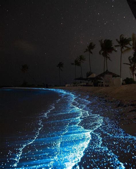 Bioluminescence in Maldives 💙 K.Huraa, Maldives 🇲🇻 By @nihthu – @ur ...