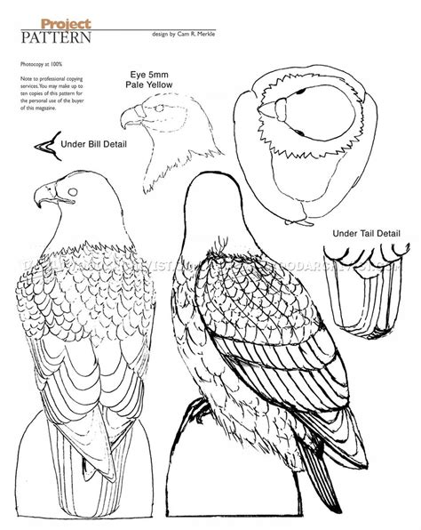 Bald Eagle Carving - Wood Carving Patterns • WoodArchivist