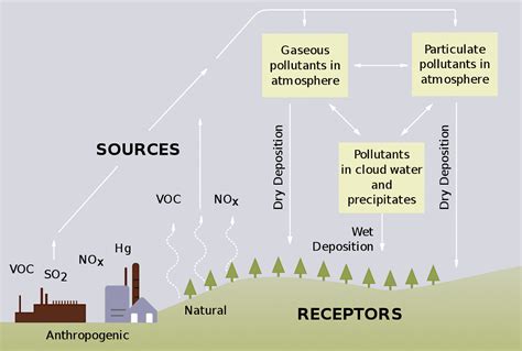 Know How Acid Rain Causes Harmful Effects on Our Environment