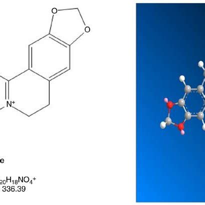 Structure of berberine. Chemical structure of berberine (left); and ...