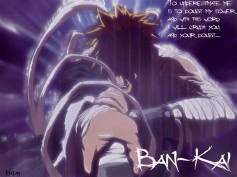 Bankai - Bleach Anime Photo (1551921) - Fanpop