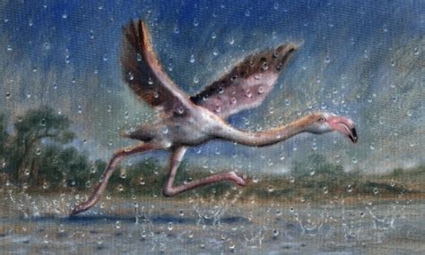 Bird in Rain – The Art Circus