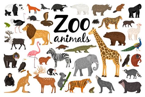 Who Zoo Animals