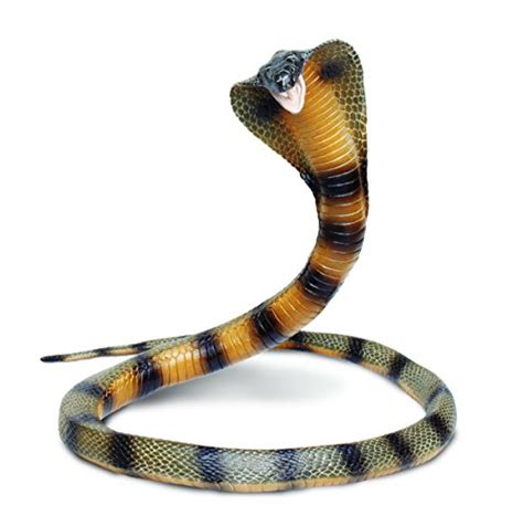 Fake Realistic Rubber Authentic King Cobra Snake Toy 36 Long Props ...