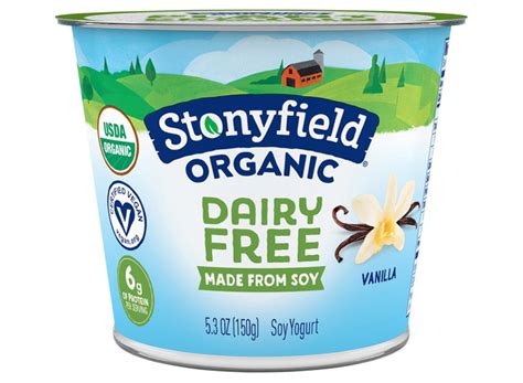 The 7 Best Dairy-Free Yogurt Brands To Buy | Eat This, Not That!