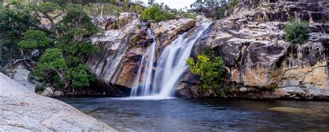 Mareeba - Rosies