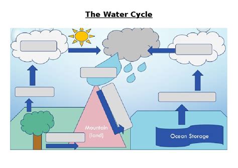 Water Cycle Worksheet For Grade 1