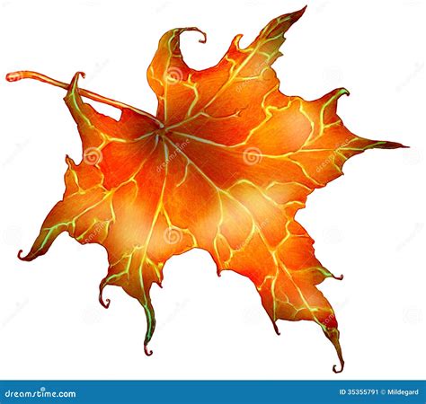 Red autumn leaf stock illustration. Illustration of orange - 35355791