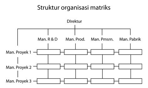 Struktur Organisasi Matriks Adalah