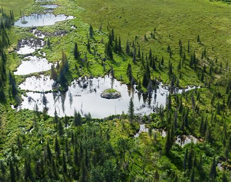 Visit a National Wildlife Refuge in Alaska - nuCamp RV