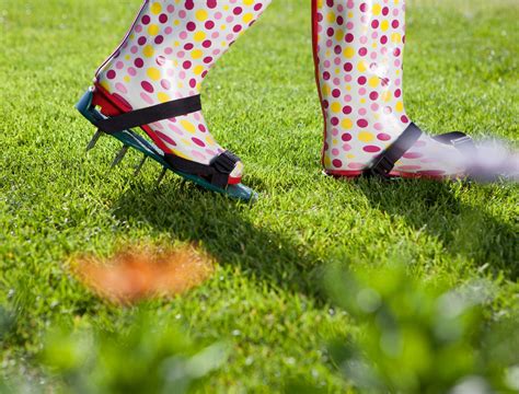 How Often to Aerate Your Lawn