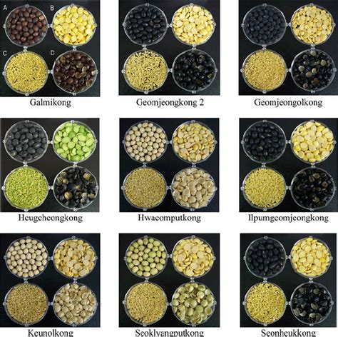 The separated seed components of nine soybean varieties. A Whole grain ...