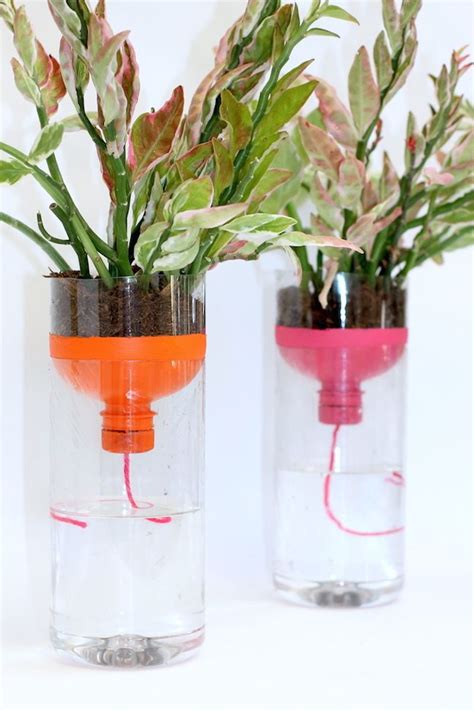 DIY Self Watering Planters With Recycled Bottles | Diy self watering ...