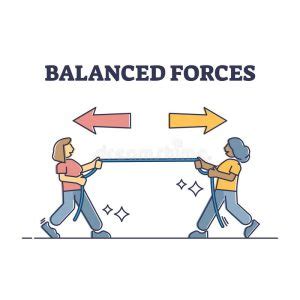 Forces: Balanced and Unbalanced | Create WebQuest