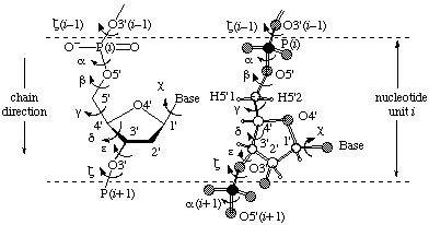 An RNA Structure Primer