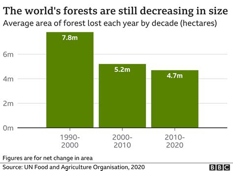 Global Deforestation Graph