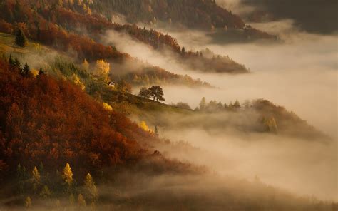 Fog Autumn Wallpapers - Wallpaper Cave