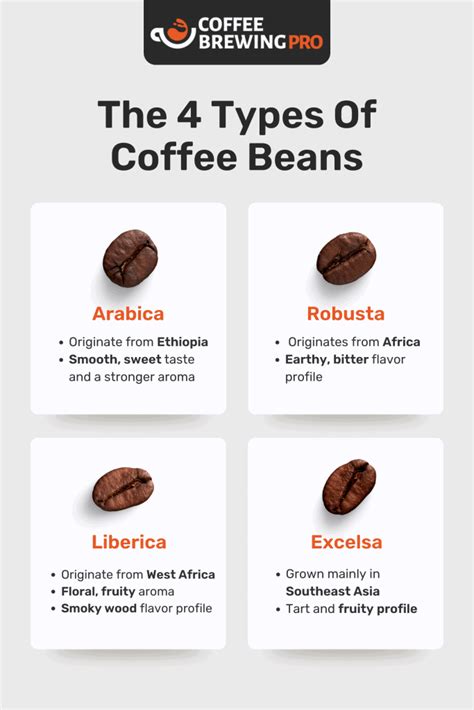 The 4 Different Types Of Coffee Beans Explained