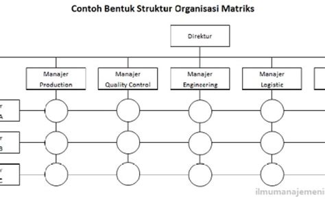 5 Struktur Organisasi Mempengaruhi Manajemen Proyek Organisasi Proyeksi ...