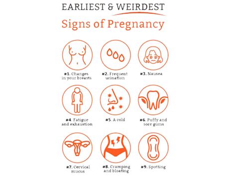 1 Week Early Pregnancy Cervical Mucus Stages