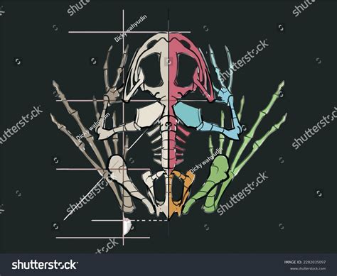 Frog Skeleton Art Isolated Vector Illustration Stock Vector (Royalty ...