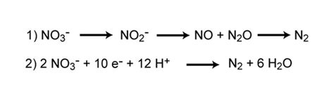 Denitrification Equation