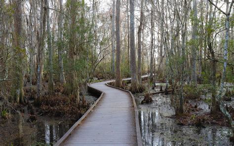 Best Hiking Trails in Louisiana - Arlen "Benny" Cenac Jr