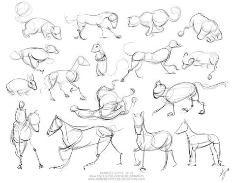 Gesture Drawing Animals