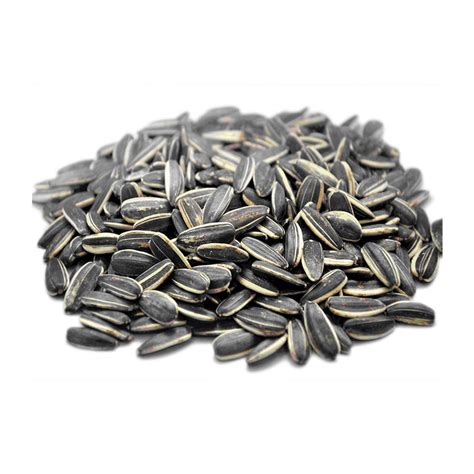 SUNFLOWER SEEDS - ROASTED IN SHELL SALTED 500g - harkola.online