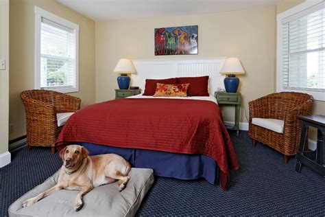 [Dog & Pet Friendly] King Hotel Rooms Rockport & Rockland Maine Coast