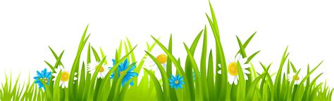 Green grass clipart - Clipground