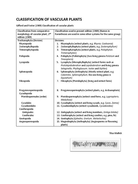 Classification of Vascular Plants | PDF | Plants | Botany