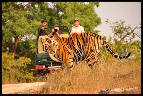 Corbett National Park India: Corbett National Park India