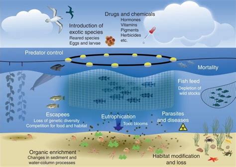 Fish Farming Environmental Impact - Farm House