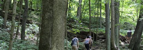 Lesser Known NRV Hiking Trails Featured in The Roanoke Times | Virginia ...