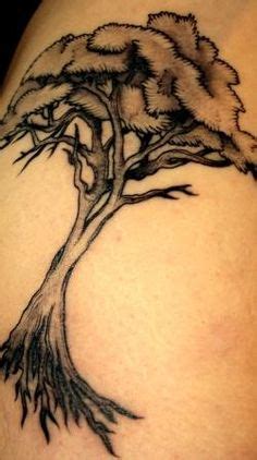 27 Tree tattoo ideas | tree tattoo, acacia tree, tree