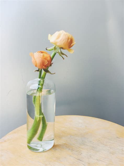 The 5 Vases You Need for Having Fresh Flowers - Cupcakes & Cashmere