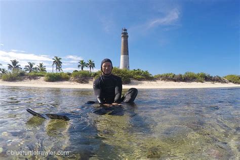 Snorkeling in the Dry Tortugas [Video] | Blue Turtle Cruising