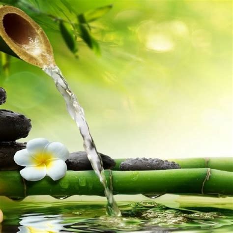 Stream Relaxing Piano Music - Sleep Music, Water Sounds, Relaxing Music ...