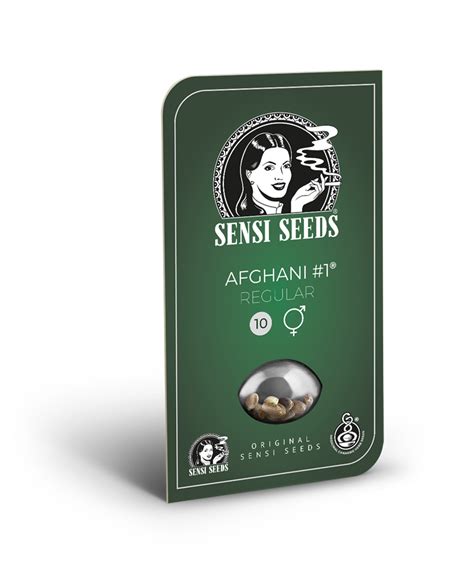 Afghani #1 Regular Seeds – Sensi Seeds UK