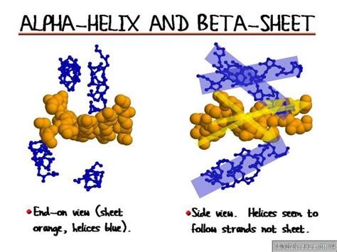 Alpha-Helix_and_Beta-Sheet